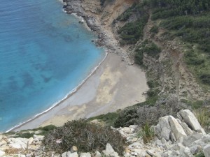 IMG_5829 (Medium)